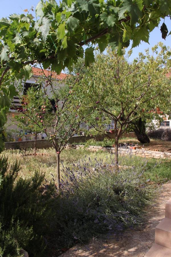 Apartments With A Parking Space Sali, Dugi Otok - 8136 Екстер'єр фото